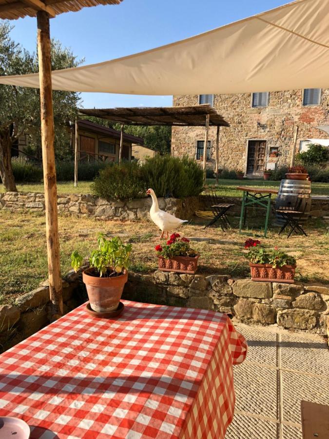 Agriturismo La Posta Reale Castiglion Fibocchi Exterior photo