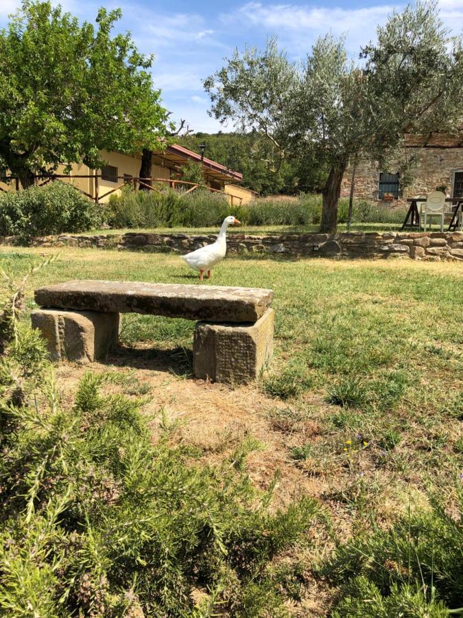 Agriturismo La Posta Reale Castiglion Fibocchi Exterior photo