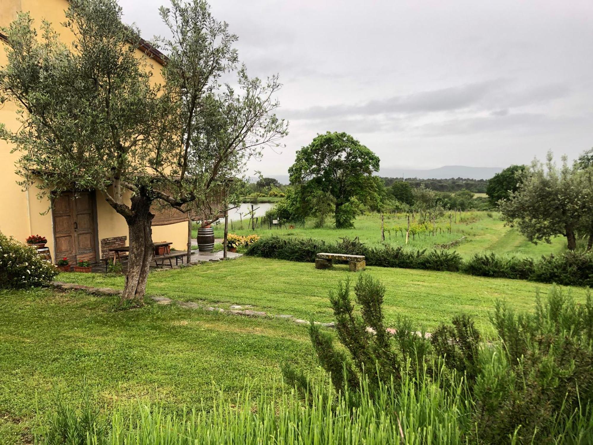Agriturismo La Posta Reale Castiglion Fibocchi Exterior photo