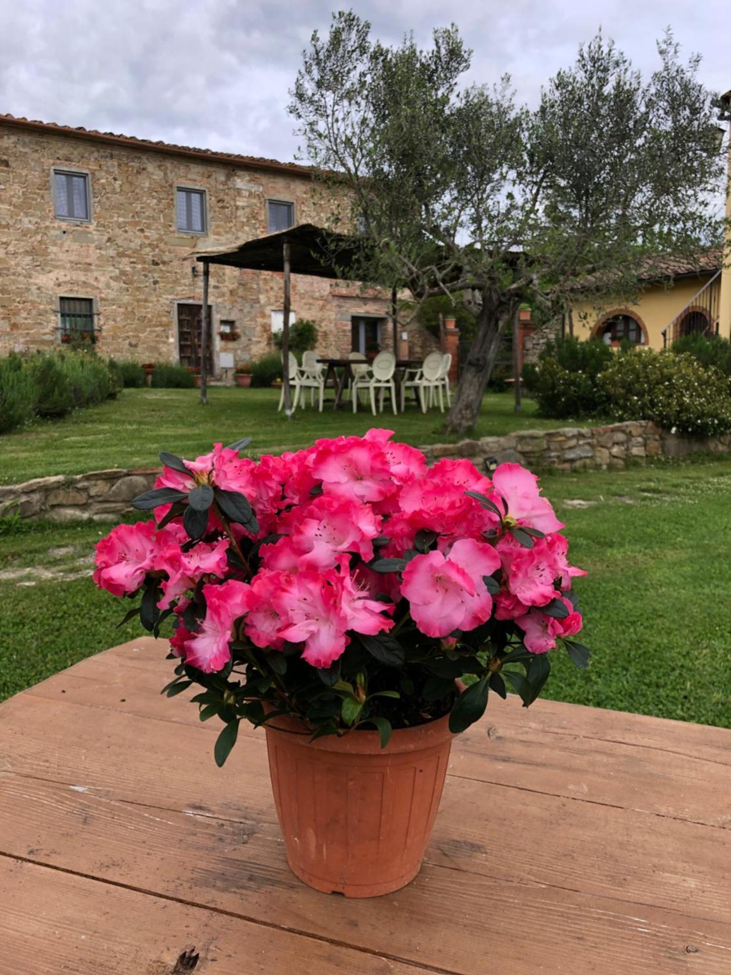 Agriturismo La Posta Reale Castiglion Fibocchi Exterior photo